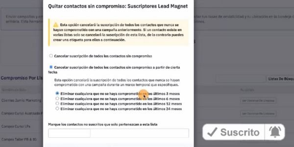 Optimizando estrategias de email marketing con Active Campaign